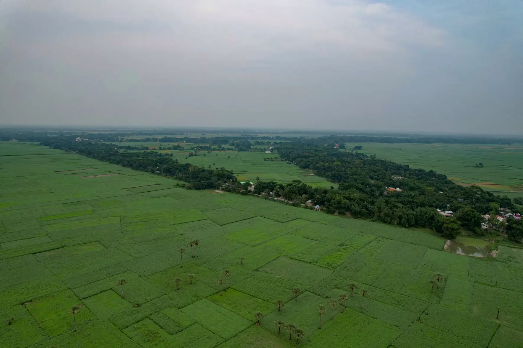 Aerial drone view of Benimadhab village showing fields and settlements.