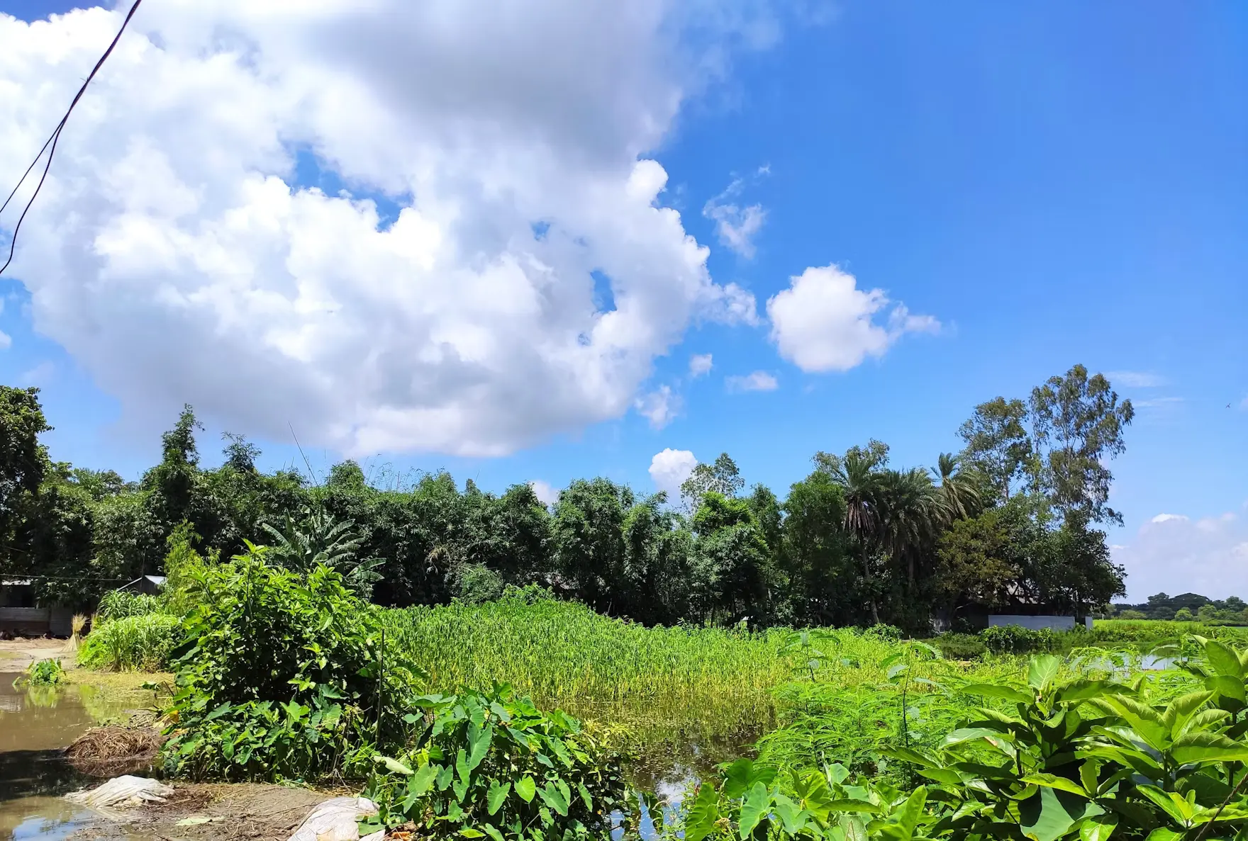 A rural village scene with blue-green tones of water and vegetation.
