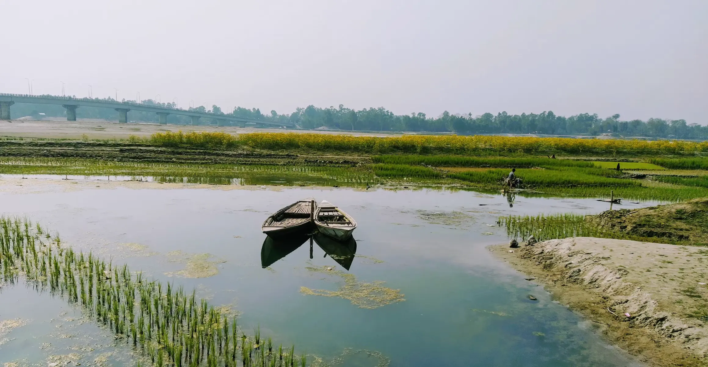 Two lone wooden boats resting on still water of a village pond.